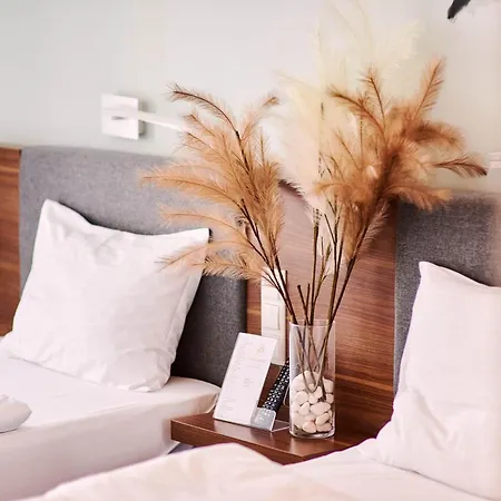 Focus Premium Conference & 4*