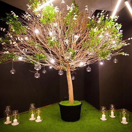 Hotel Focus Premium Conference&spa