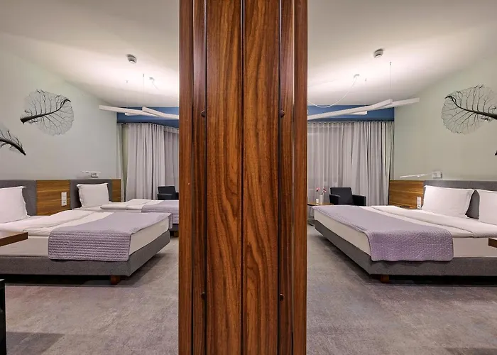 Focus Premium Conference &