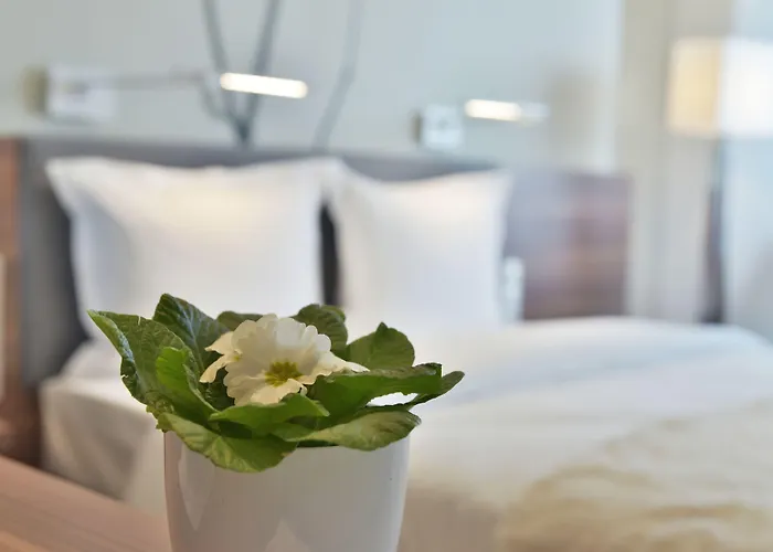 Focus Premium Conference & 4* 卢布林