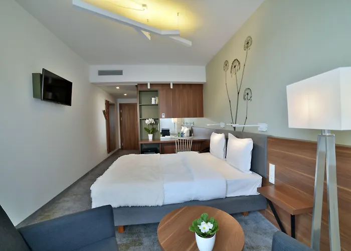 Focus Premium Conference & 4*