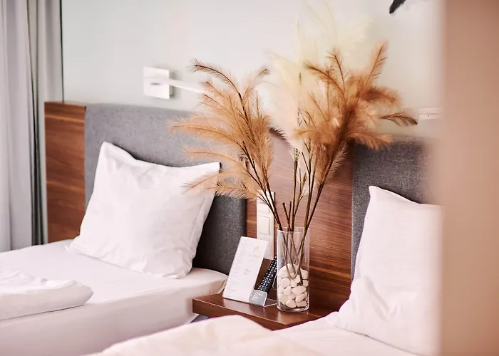 Focus Premium Conference &